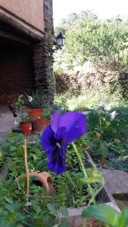 Los Balcones Del Rio Robledillo De Gata Dış mekan fotoğraf