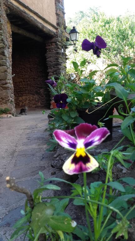 Los Balcones Del Rio Robledillo De Gata Dış mekan fotoğraf
